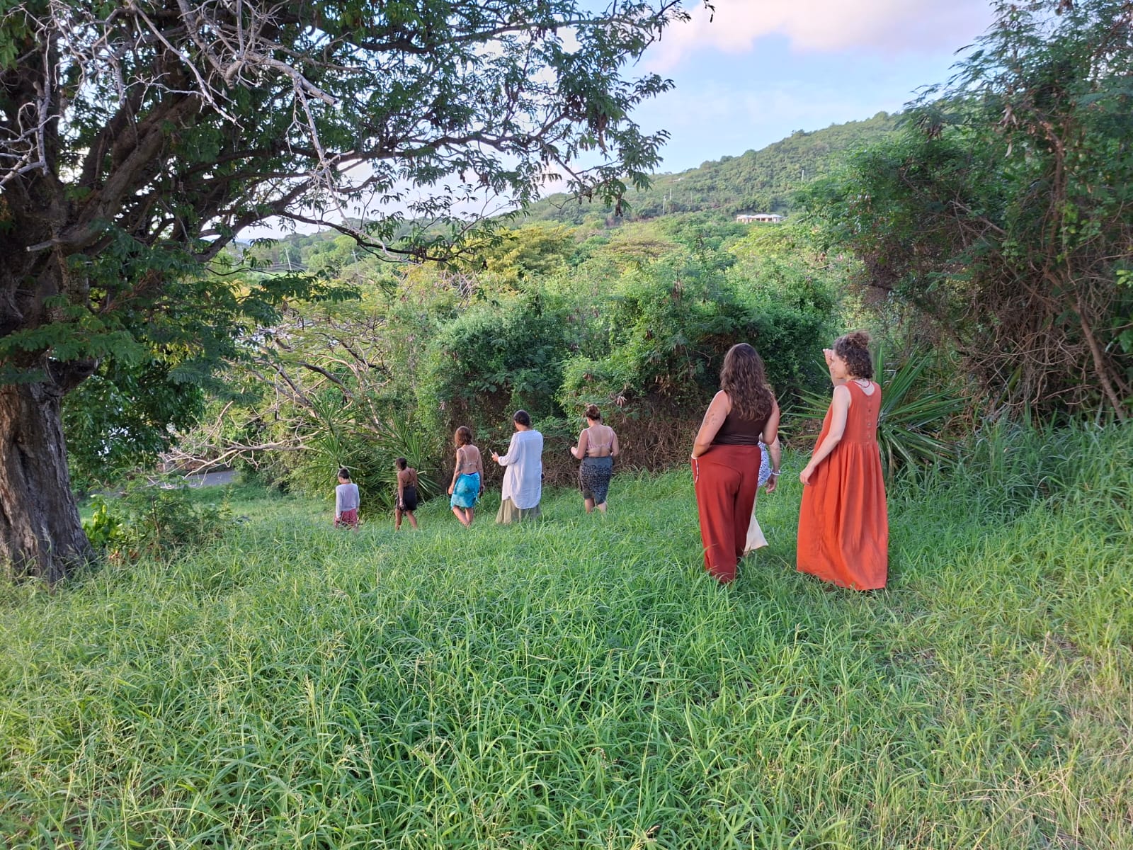 A group walking out to harvest at golden hour