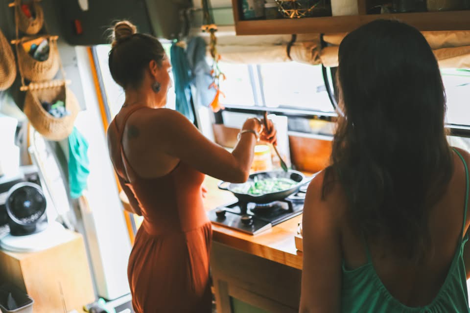 Ayurvedic Health Advisor