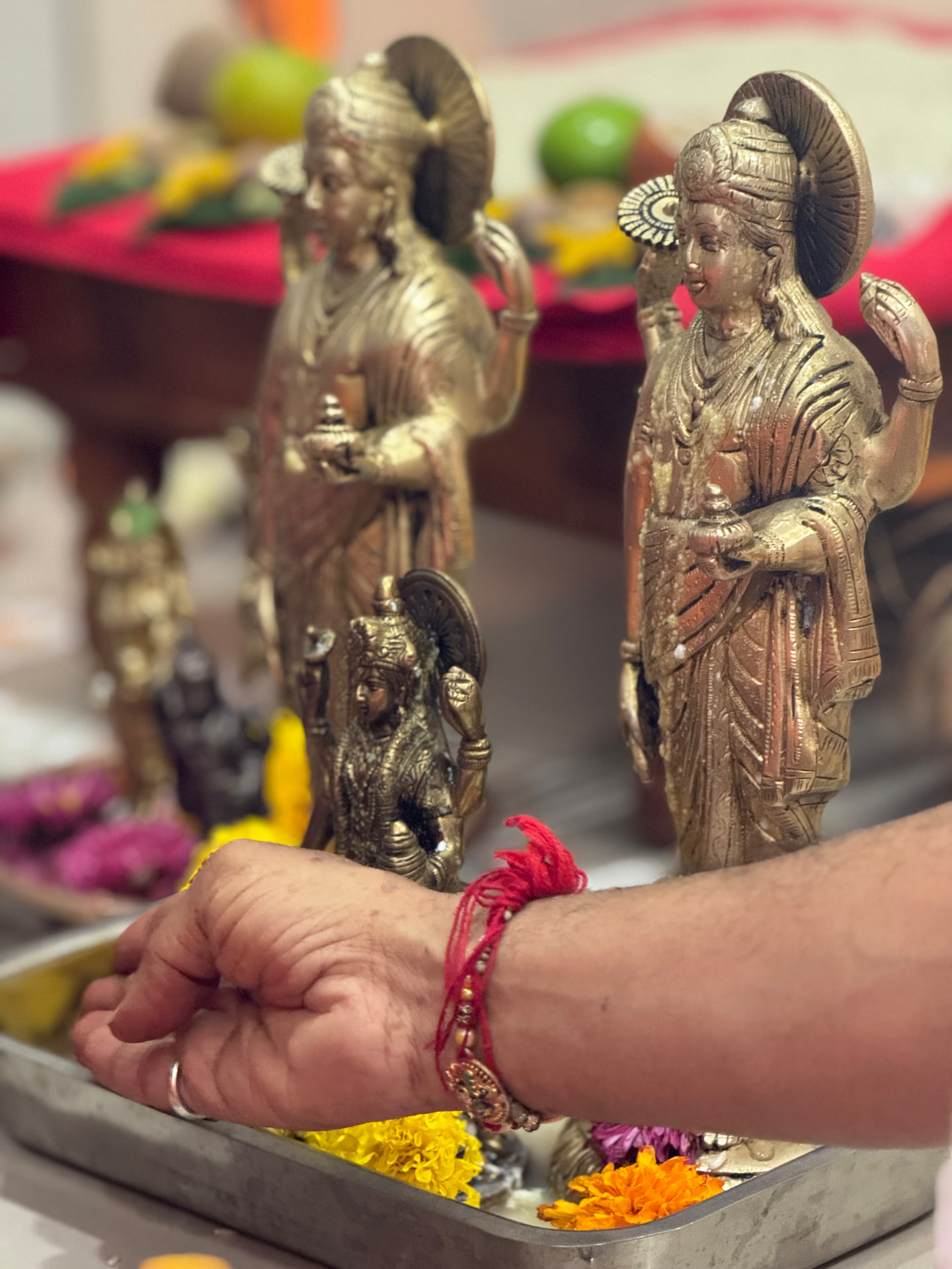 Ayurvedic Practitioner