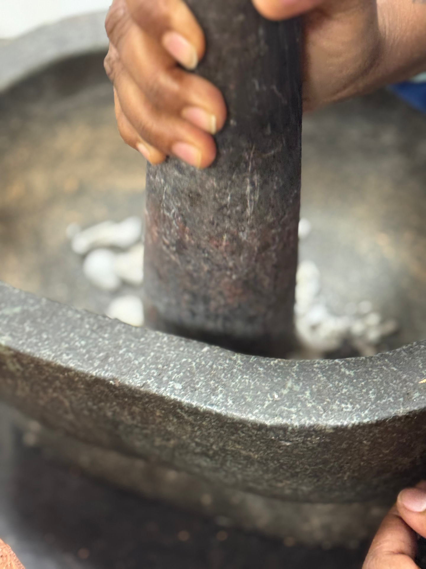 Herbs being ground with a stone mortar and pestle in the hospital pharmacy